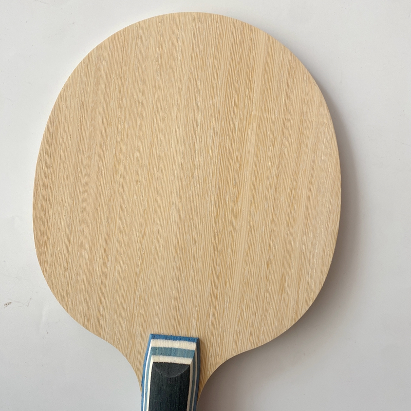 Lemuria VIS Carbon Fiber Table - Table Tennis Forehand 리뷰 및 가격