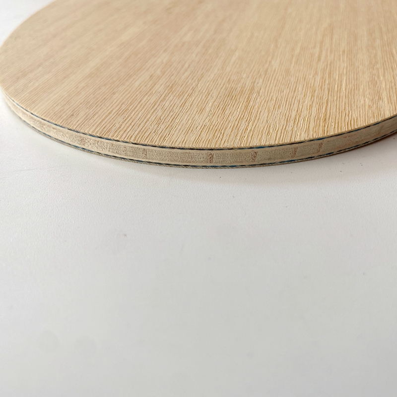 Lemuria VIS Carbon Fiber Table - Table Tennis Forehand 리뷰 및 가격