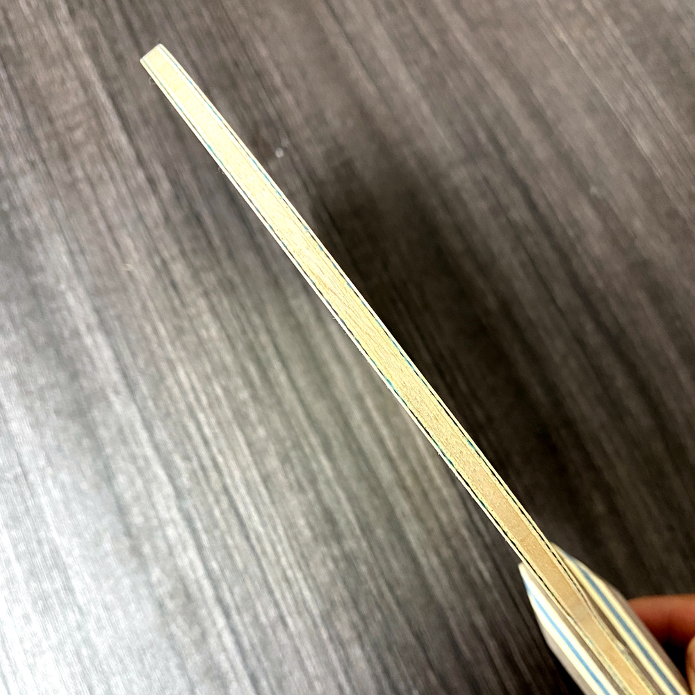 Professional Making Goden VIS  - Table Tennis Blade 리뷰 및 가격