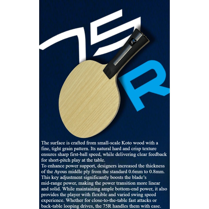 SANWEI 75R 5+2 Outer H-GLC Tab - Table Tennis Blade 리뷰 및 가격